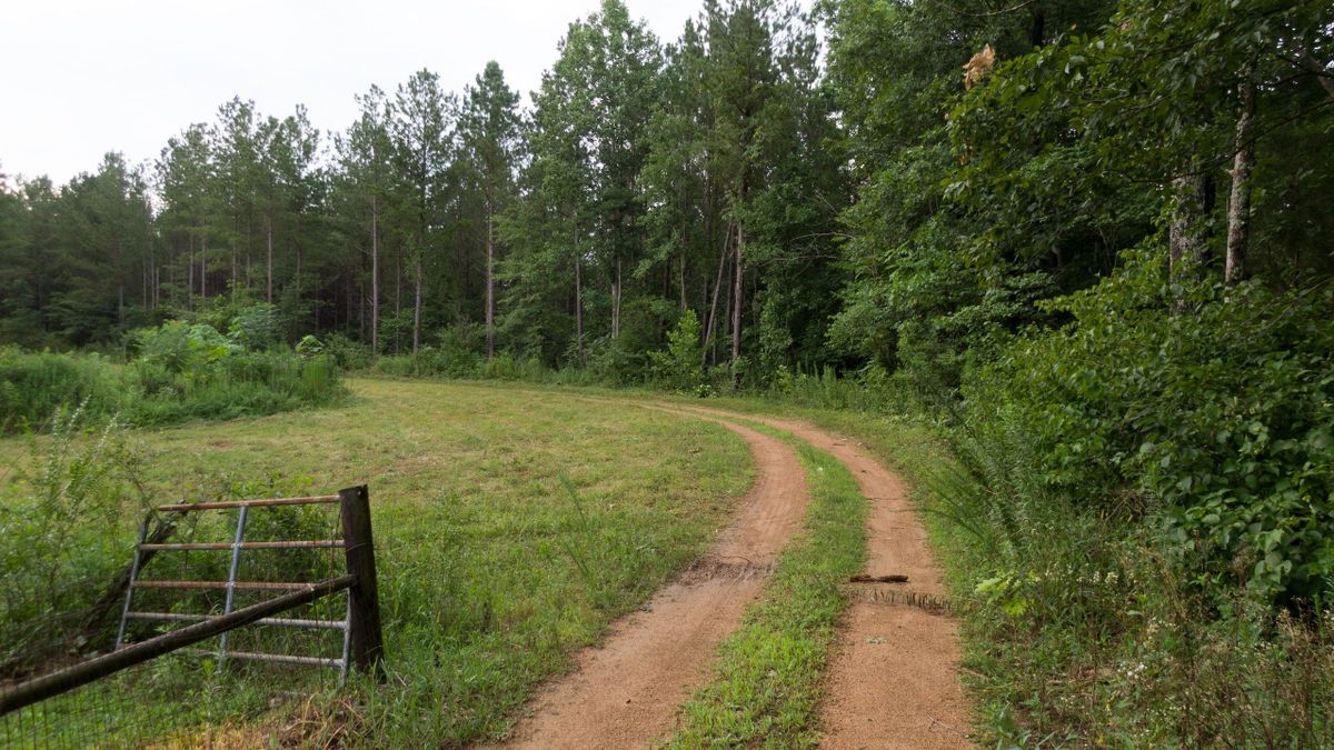 Private Retreat With Creek And Road System In South Central Tennessee