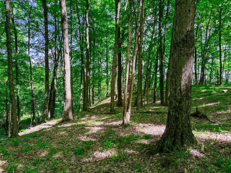 Tyler, WV 161.03 AC Fitzsimmons-088