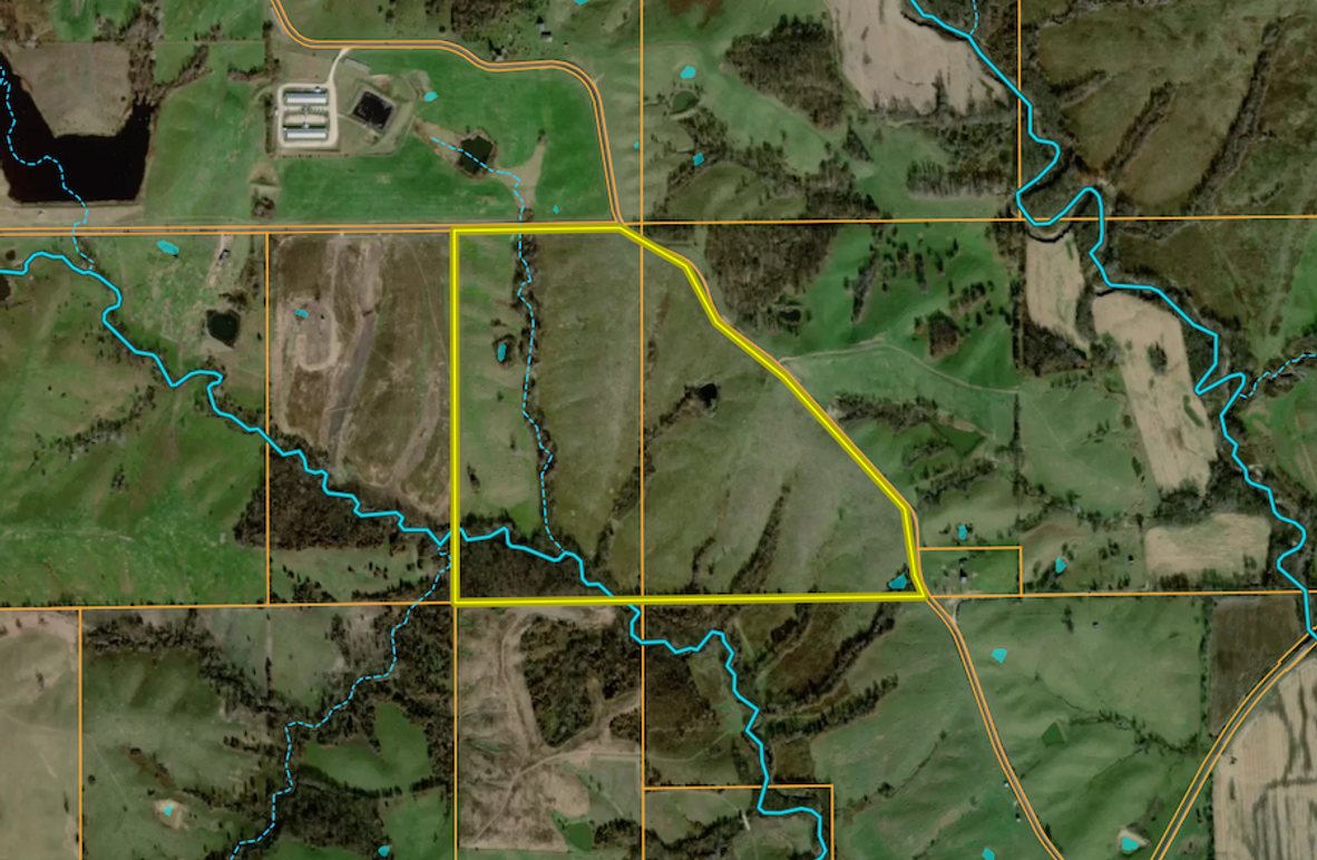 Screenshot 2026-03-11 at 11.23.13 AM