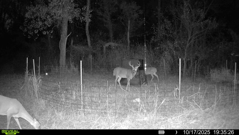 016687000319968-92-3-10172025193939-HD-SYFW00526