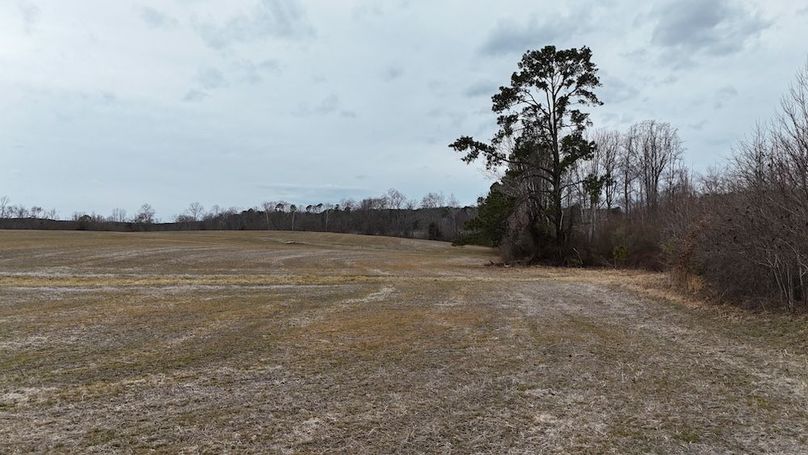 dji_fly_20260218_164400_0024_1771452058489_photo