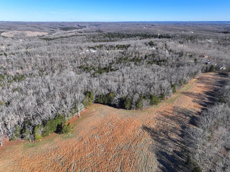 DJI_20260317092428_0951_D