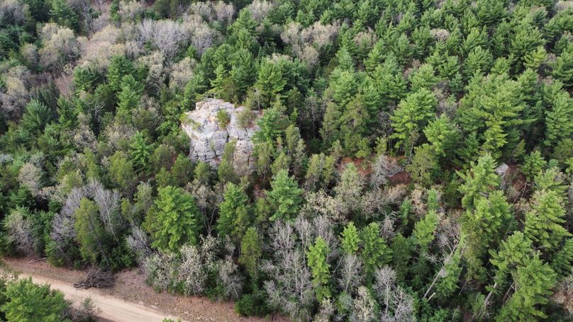 dji_fly_20230509_172138_420_1683724264940_photo_optimized