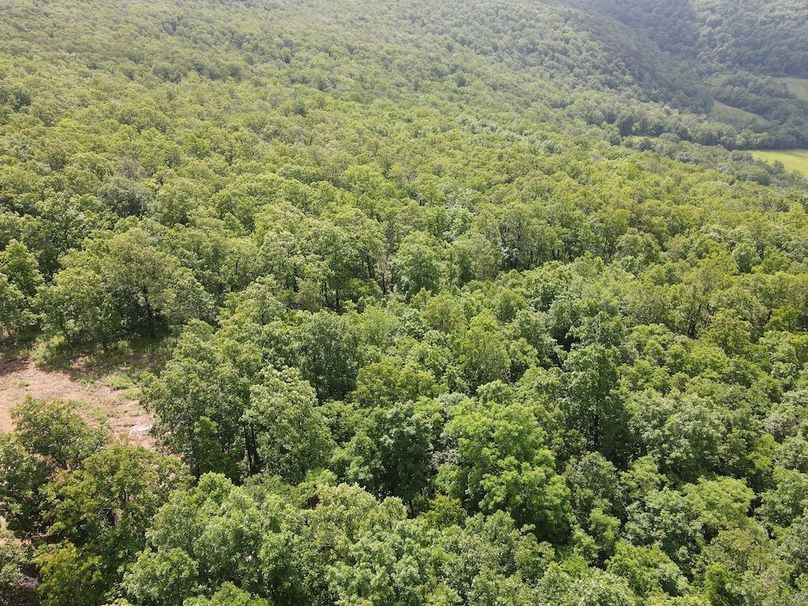 DJI_0375