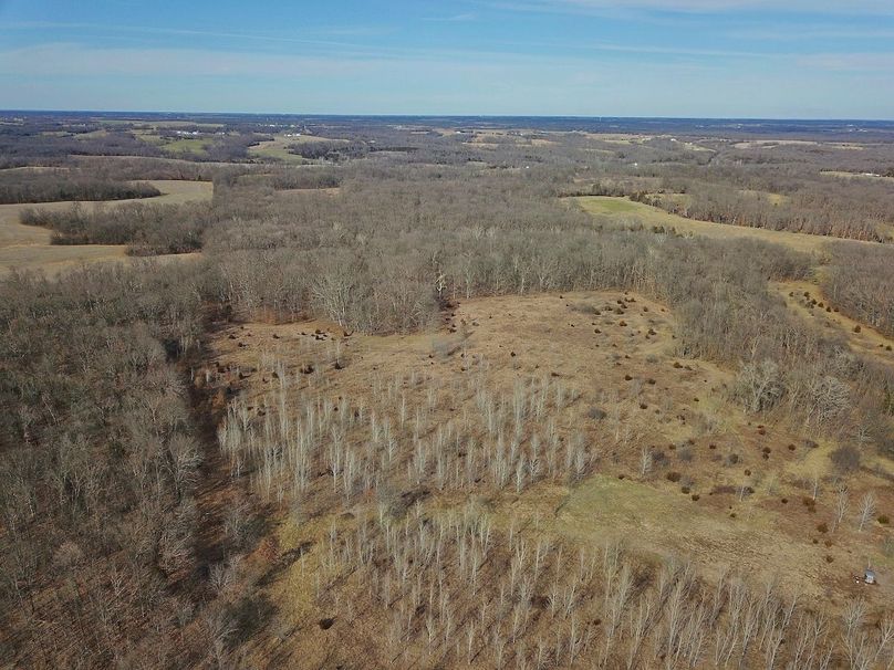 DJI_0242_inPixio (2)