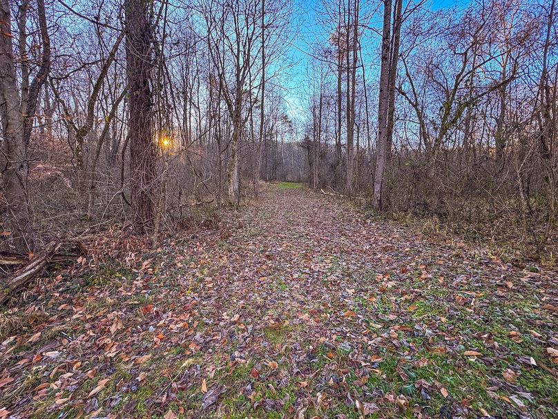 Pleasants_Wood 169.97 AC Cokeley-22