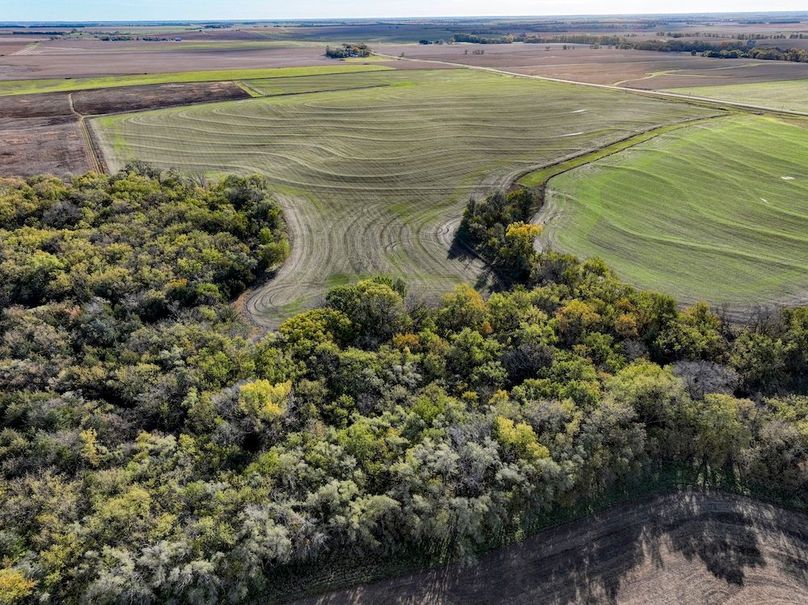 Dickinson Co, 154.5_014