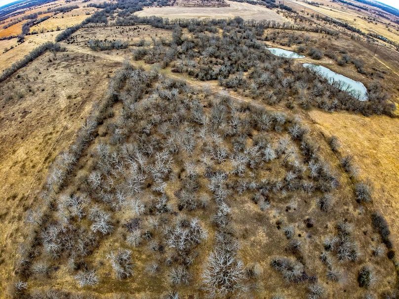 DJI_20260119085032_0653_D