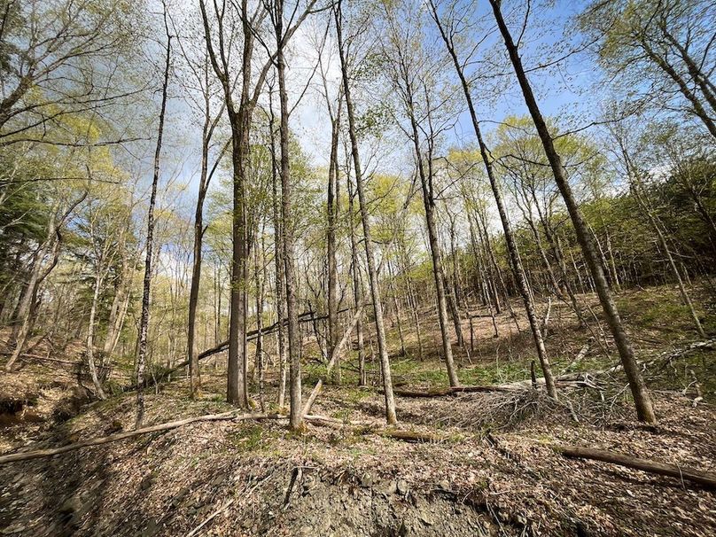 Tioga_76.65_Matyjas_Photos_8