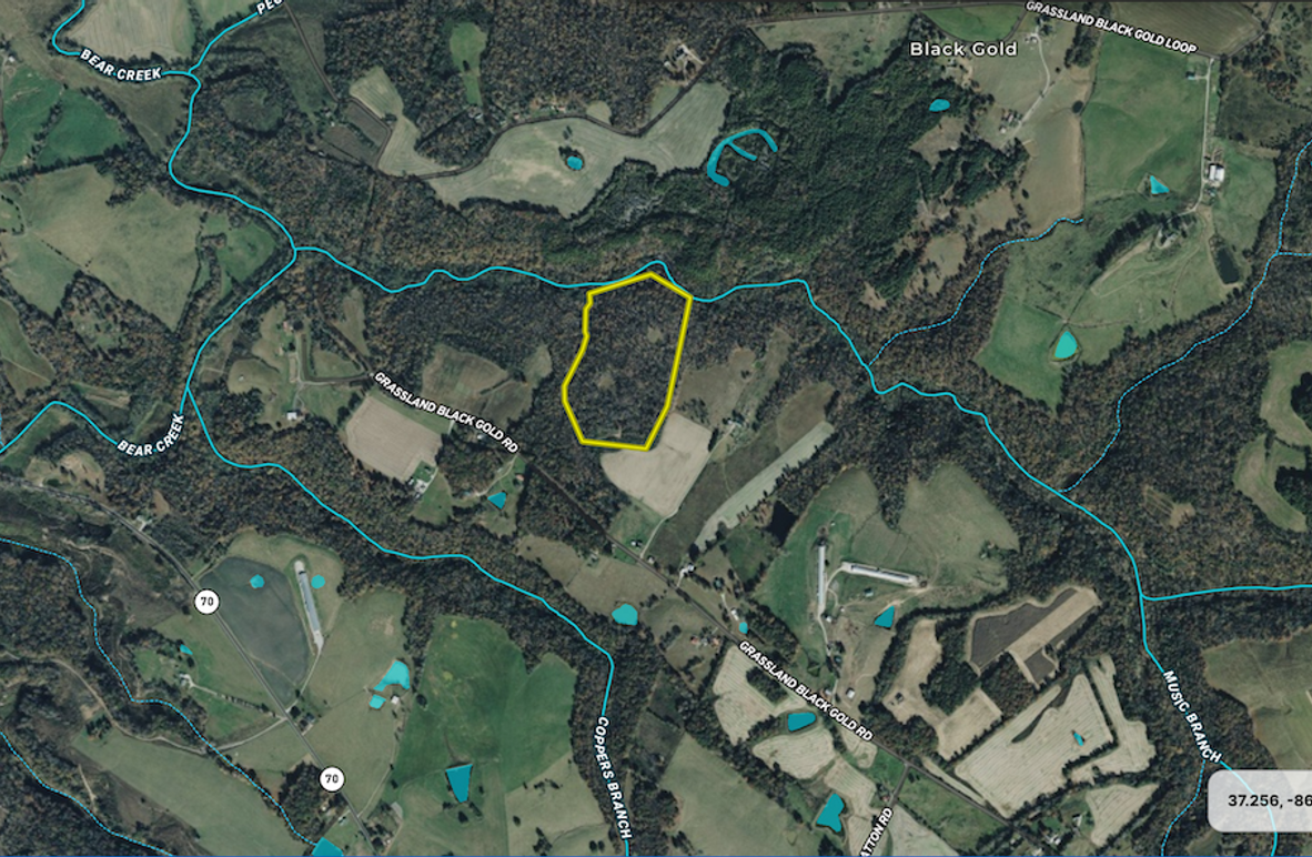 Screen Shot 2025-08-19 at 11.17.01 PM