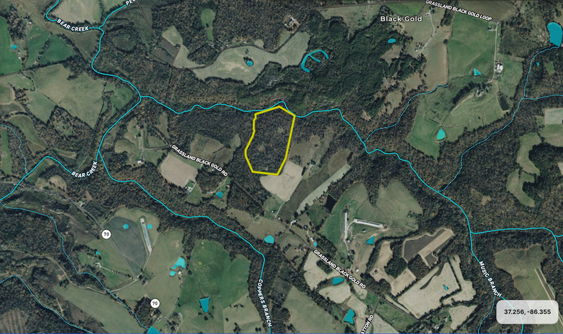 Screen Shot 2025-08-19 at 11.17.01 PM