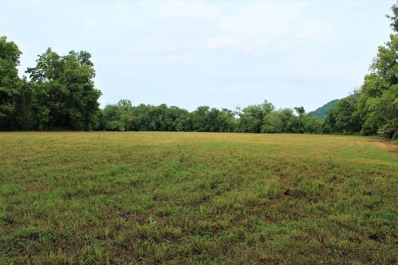 003 some of the river bottom acres on the south side of the road