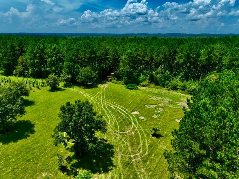 AF553174-11CA-43E8-84CD-CB08254DB9F0_1_105_c