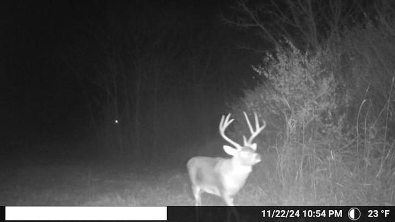 13.5