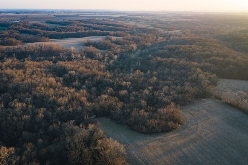 DJI_20260309183306_0325_D