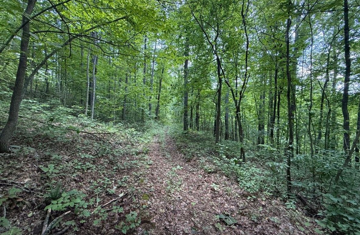 005 good trail system