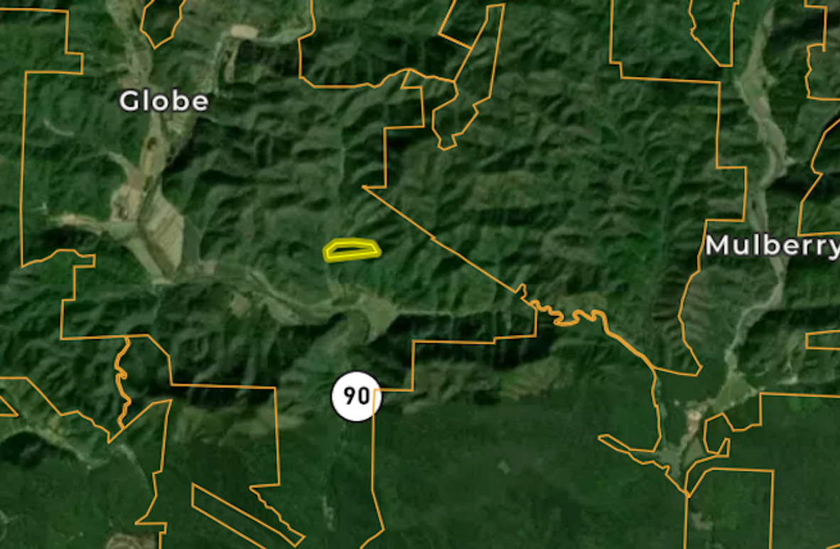 Screenshot 2025-03-03 at 10.14.38 AM