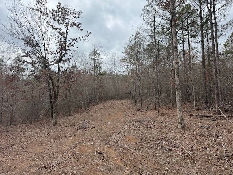 311 new20260217_0476