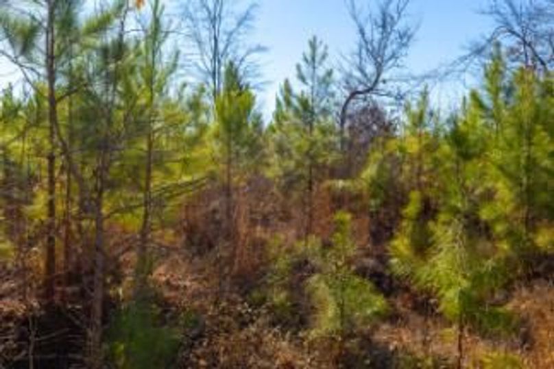 MCKINNON TRACT 19-06