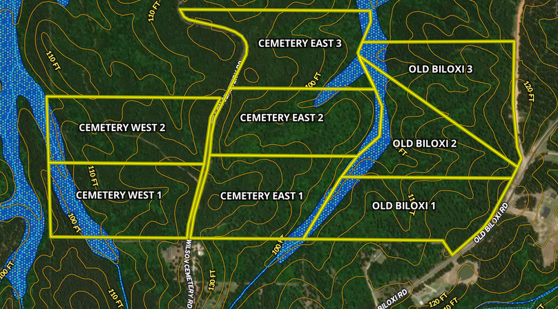 Screen Shot 2024-01-24 at 8.25.05 AM