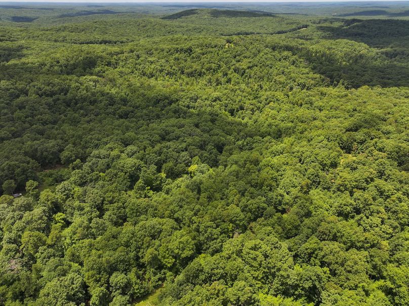 DJI_20250709125532_0409_D