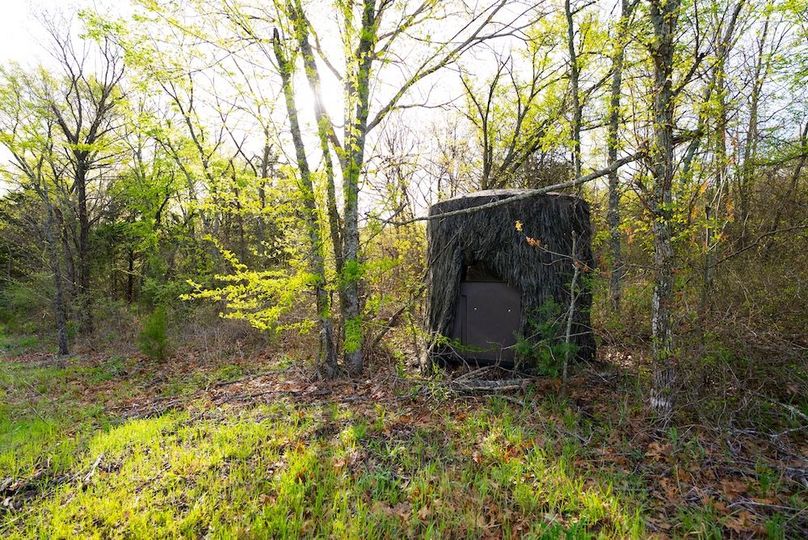 Okfuskee OK 615.38 Pro Photo-80