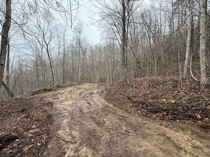 011 nicely cleared area perfect for a cabin amongst the rock cliffs