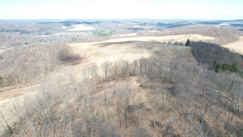 dji_fly_20250325_123202_34_1742920816631_photo