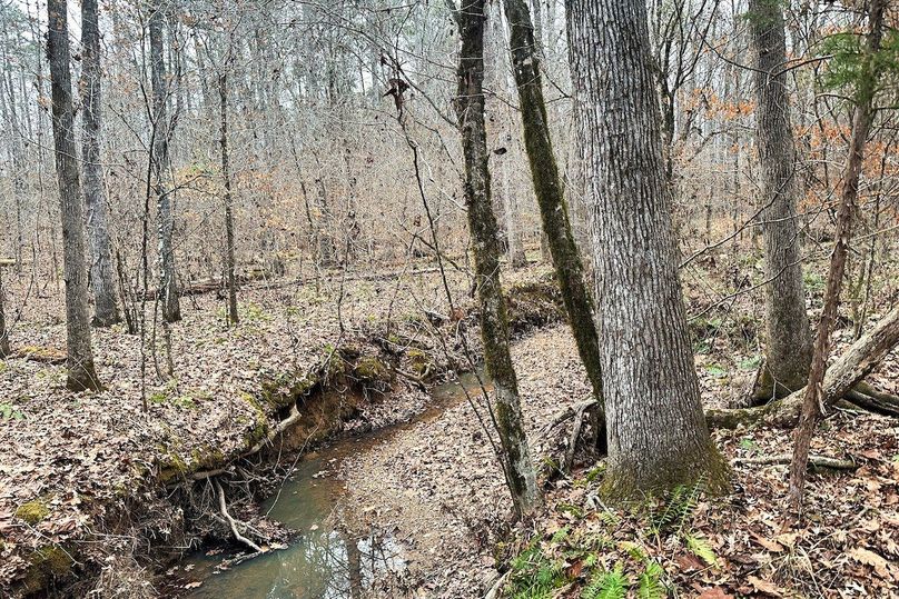 20 Creek