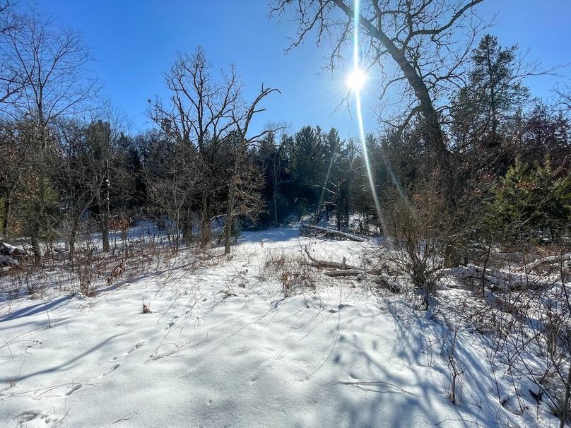 Adams 25, Nessler -25