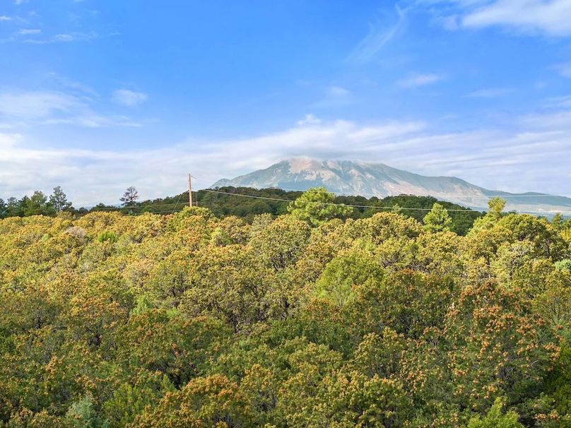 DJI_20250924103543_0074_D