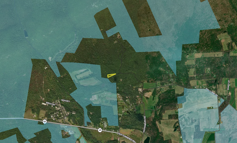 Screen Shot 2023-05-18 at 2.55.54 PM