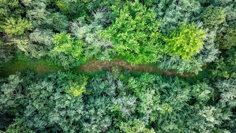 DJI_20250623165334_0022_D