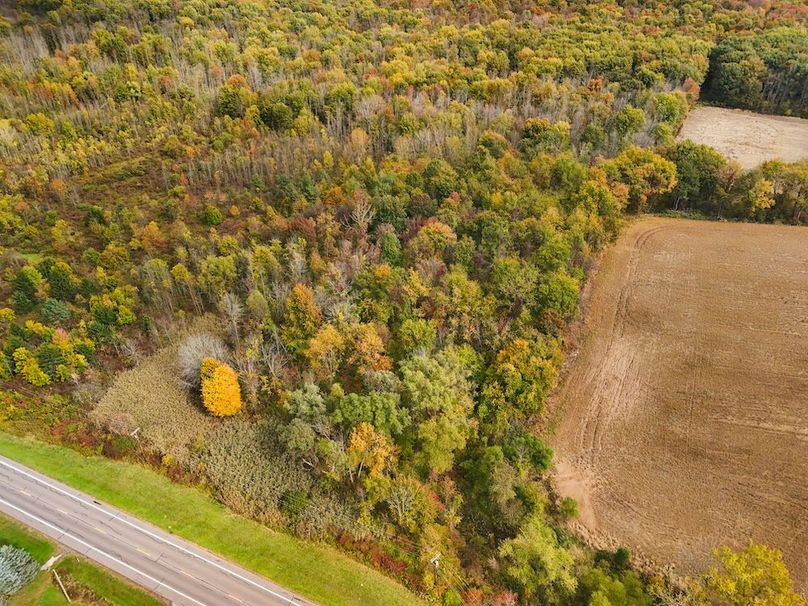 Wayne_29.09_BD_LandParcel_8