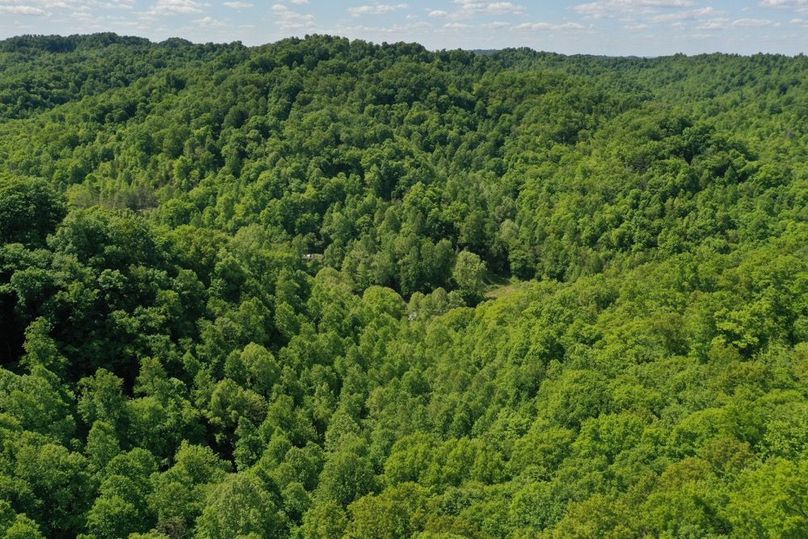 016 aerial drone view from the south boundary looking north down the valley