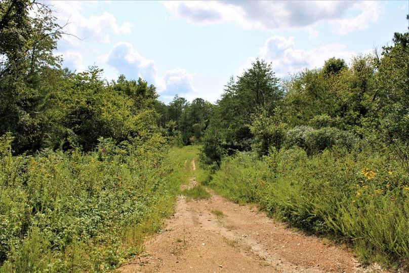 037 Little Rock Creek Road leading into the opening along the west boundary