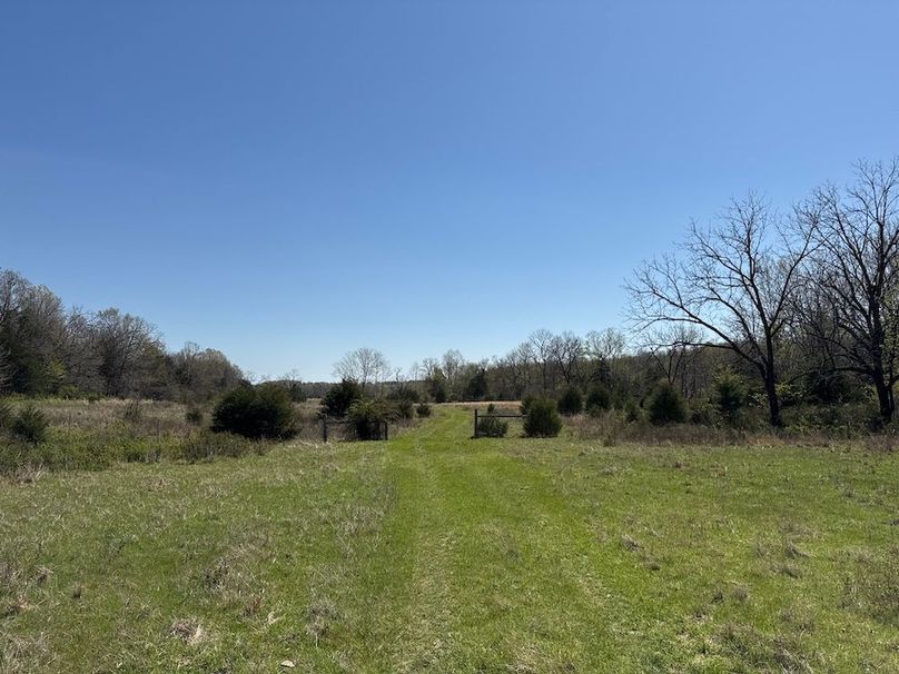 DJI_20260409_112819_718