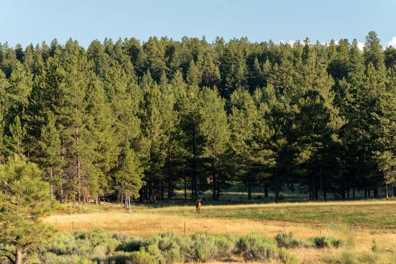 Cibola NM 13,053-7275