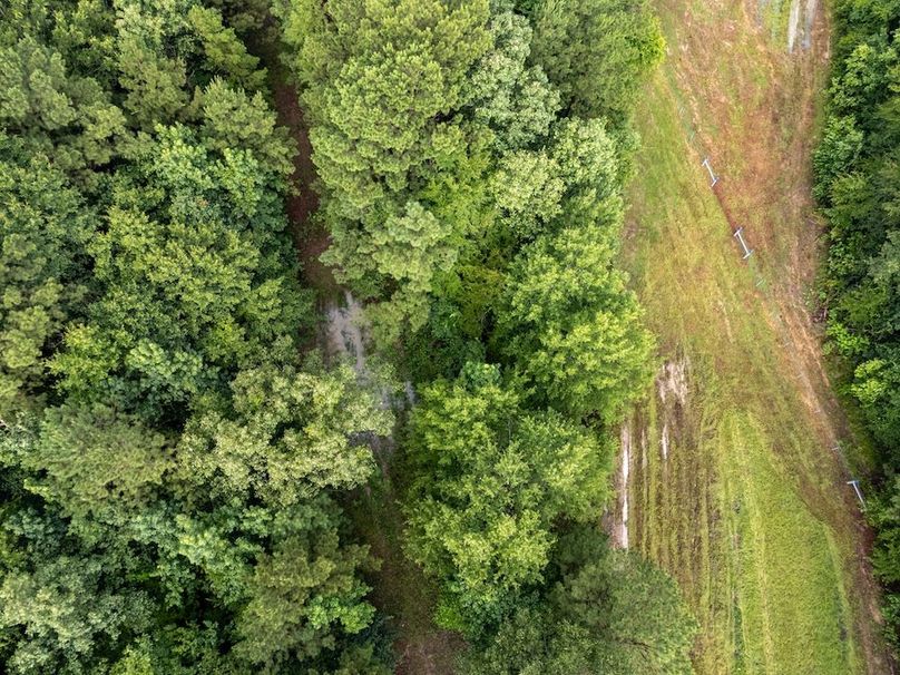 Panola Co. 40ac - Rouse-35