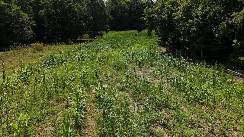 DJI_20250713152615_0571_D