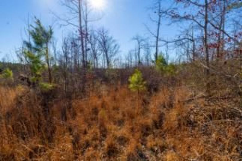 MCKINNON TRACT 15-08