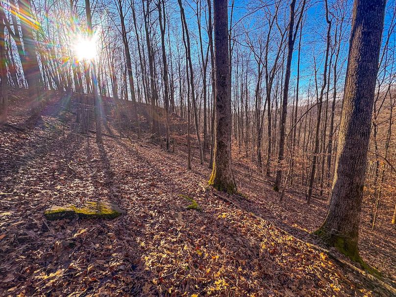 Lewis, WV 82.87 AC Barger-45