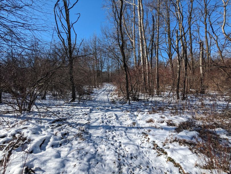 PXL_20230202_161648895