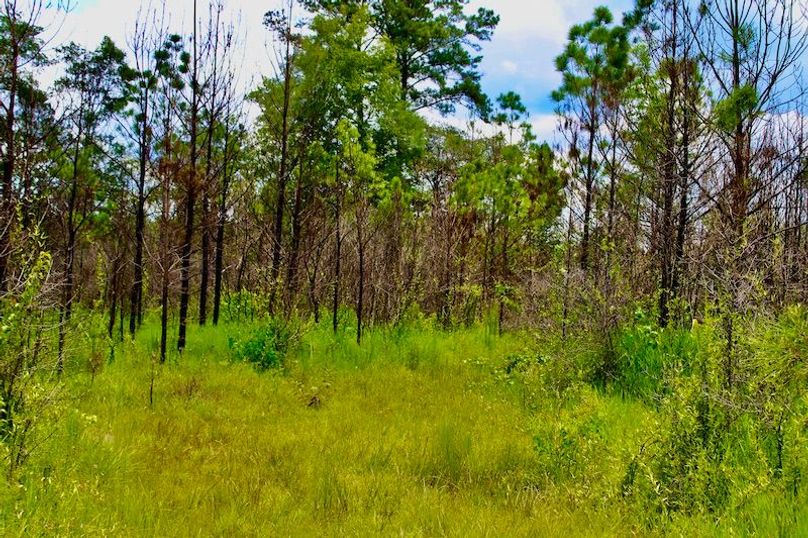 CF71F513-3083-47D0-B41D-91CB3DA9DA73_1_201_a