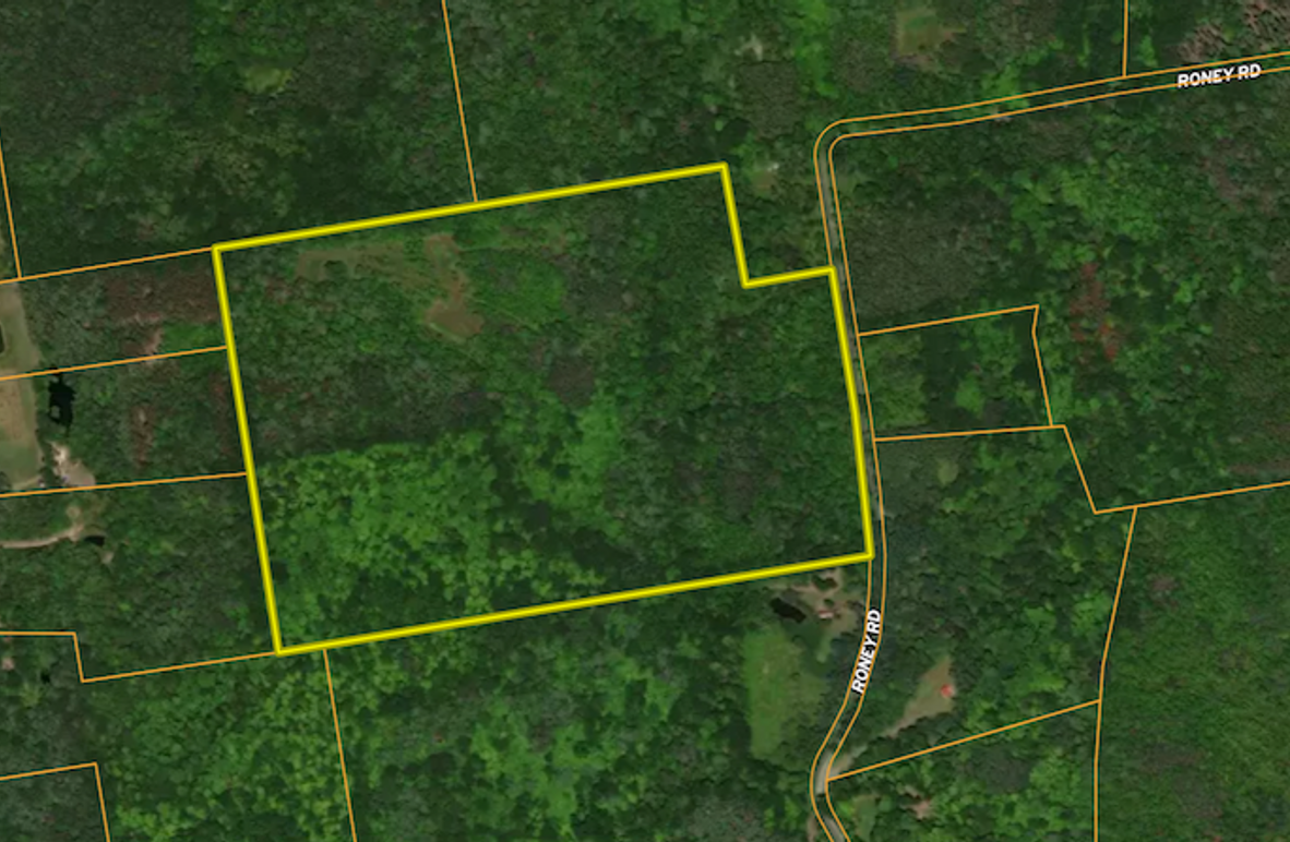 Albany Co 59.5 Neuman Overview map