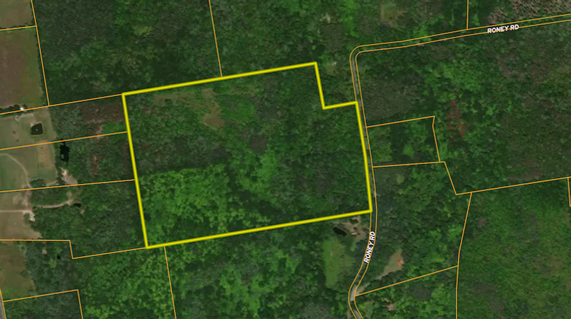 Albany Co 59.5 Neuman Overview map