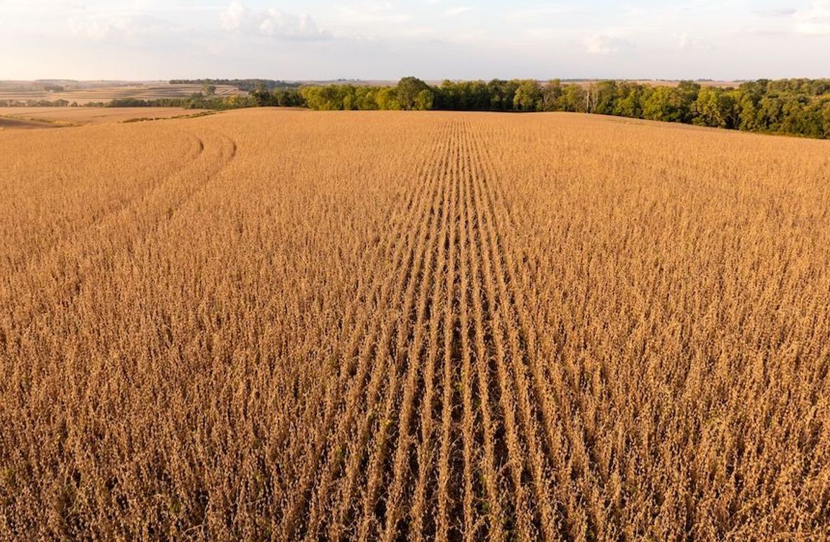 Copy of POTTAWATTAMIE CO IA 311 TRACT 1_4