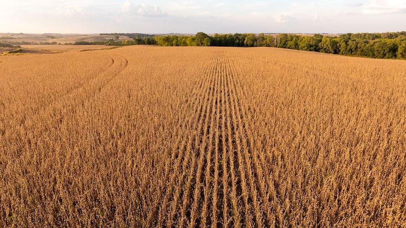 Copy of POTTAWATTAMIE CO IA 311 TRACT 1_4