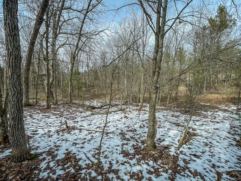 Adams 10.06 Johnson-36