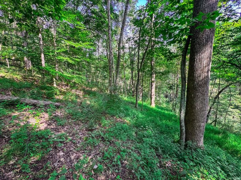 Lewis, WV 105 AC Miller-44